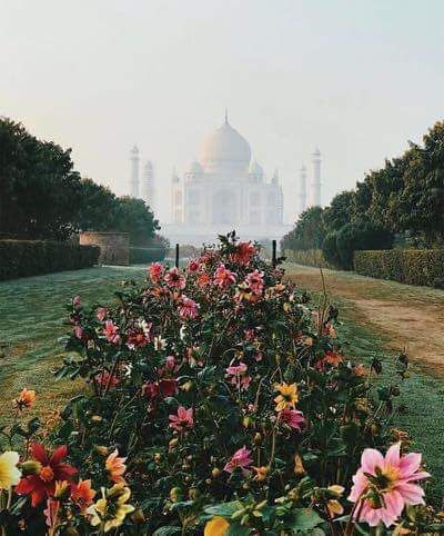Taj Mahal Flowerbed
