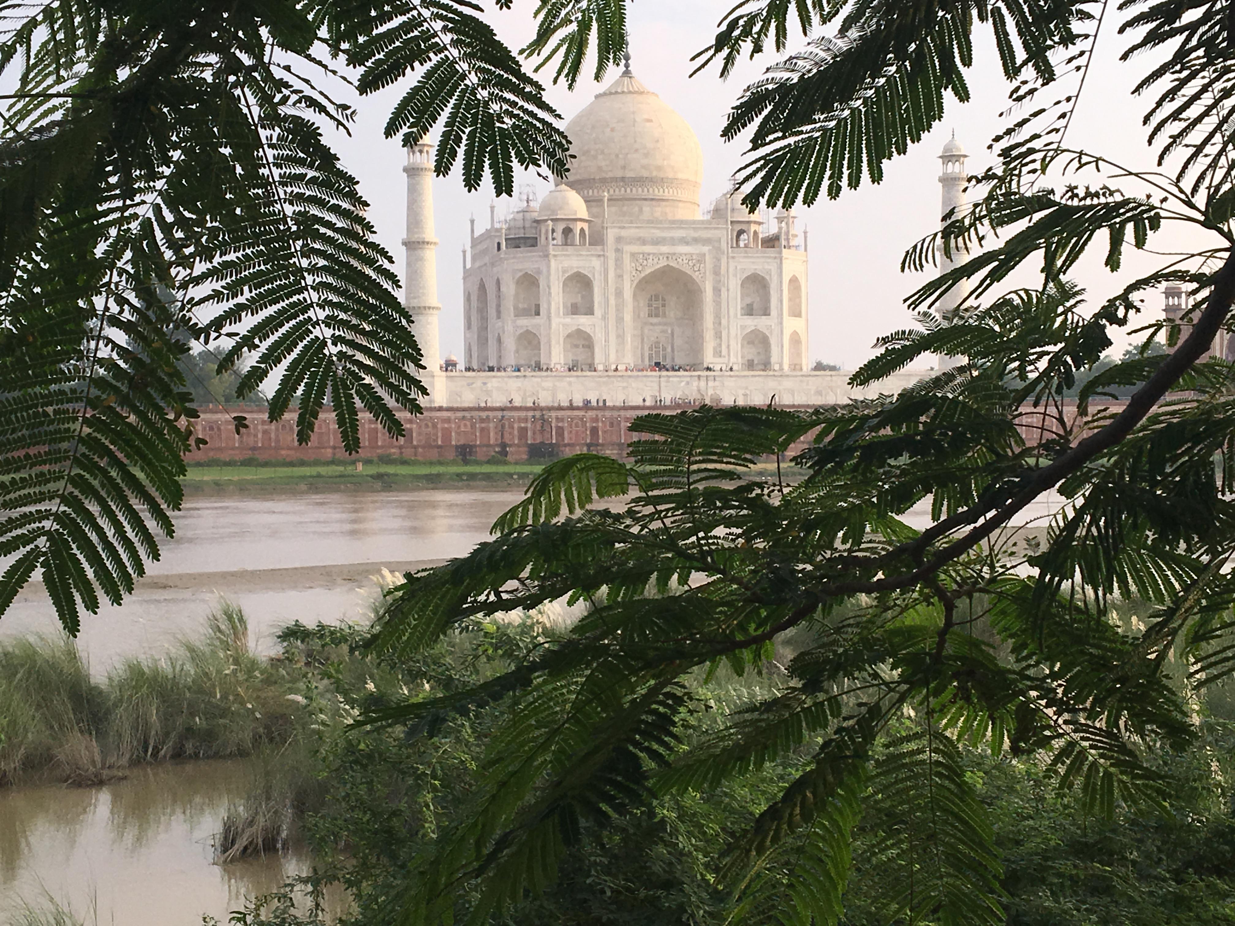 Mehtab Bagh garden view of Taj