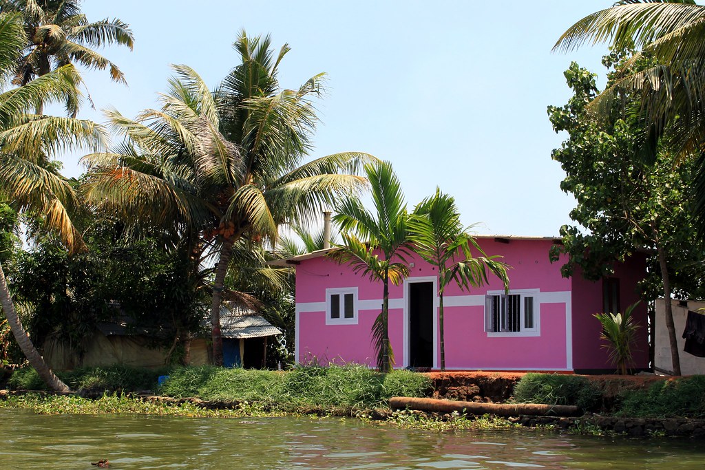 Pink canal-side house framed by coconut palms, backwater village, Alleppey