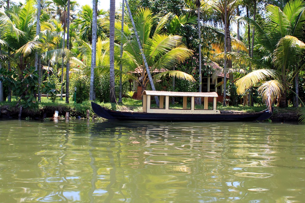 Wooden shikara canoe on a narrow green canal lined with palms, Alleppey