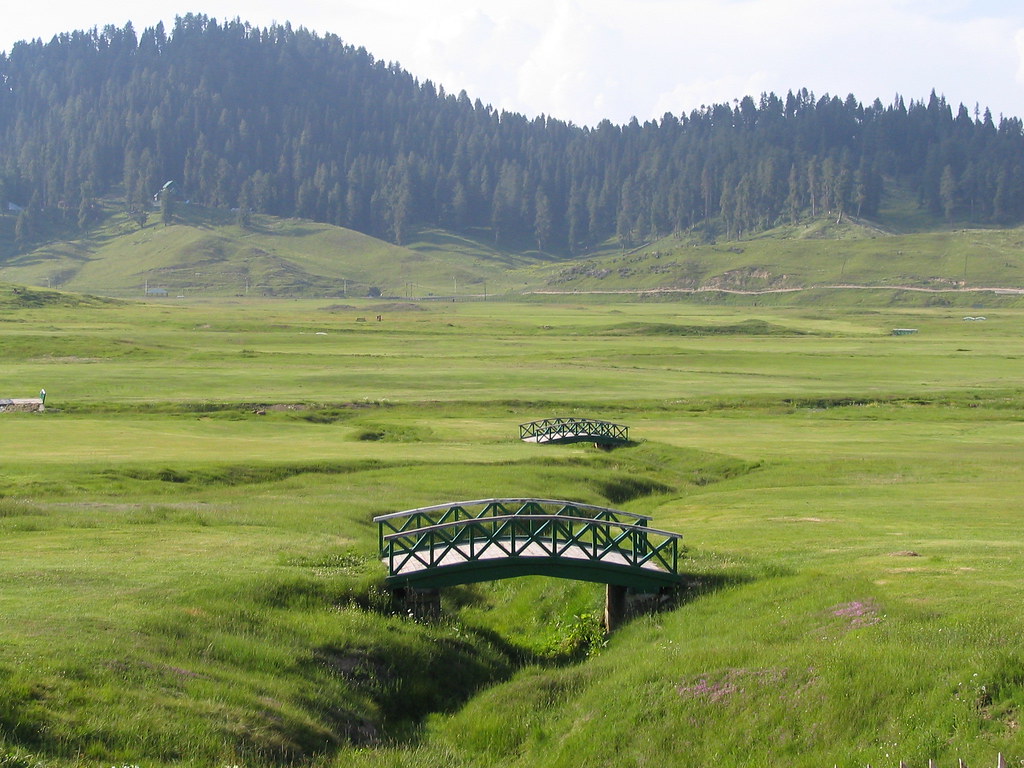 Wooden footbridge over a stream on the vast green alpine meadow of Gulmarg, Kashmir