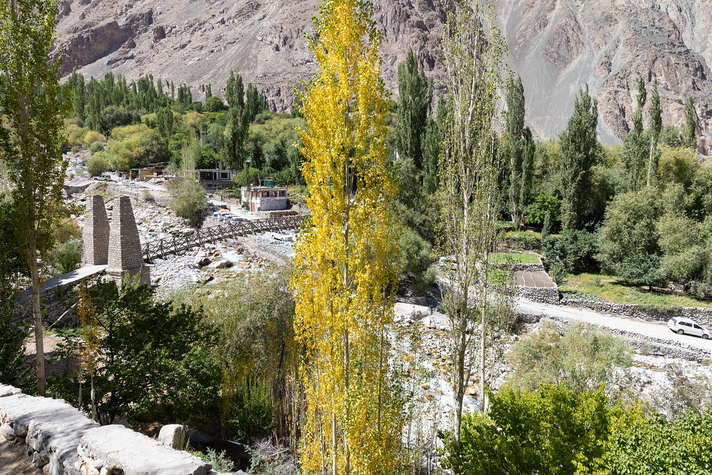 Turtuk village — autumn trees and the Shyok River, northernmost village accessible in Ladakh