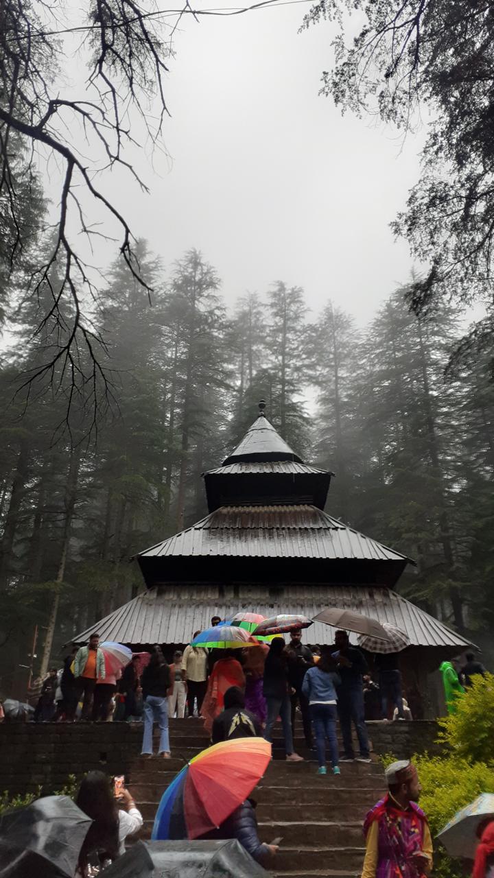 Hadimba Devi Temple pagoda rising through the deodar forest, Manali