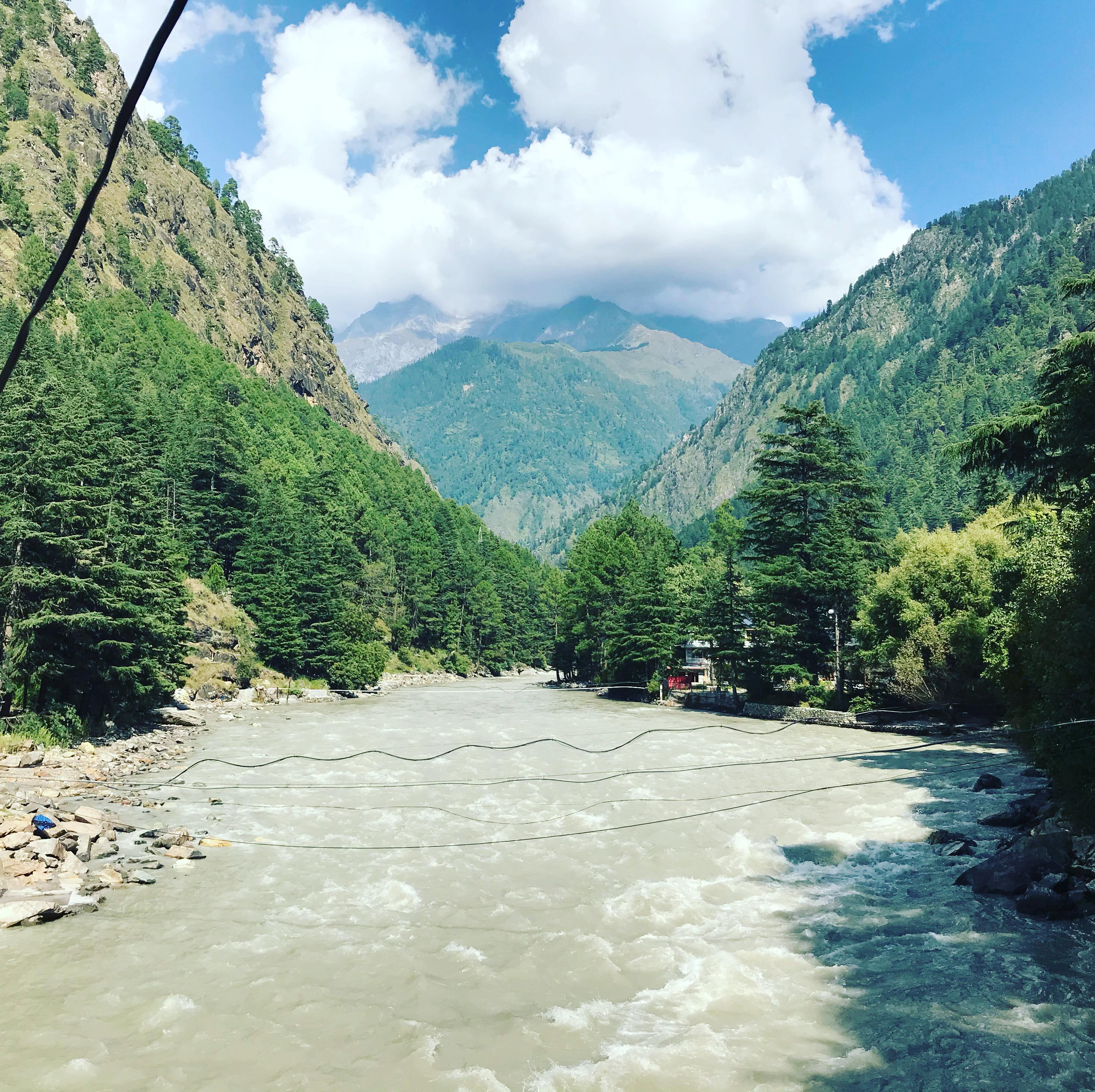Kasol — Parvati River flowing through a pine-covered mountain valley
