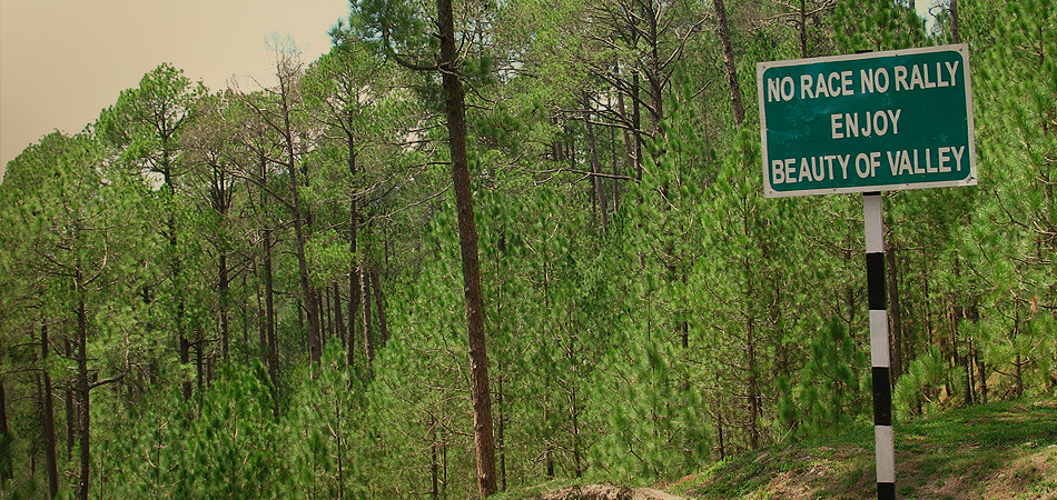 Pine forest road in the Kumaon hills, Nainital — "Enjoy Beauty of Valley" signboard