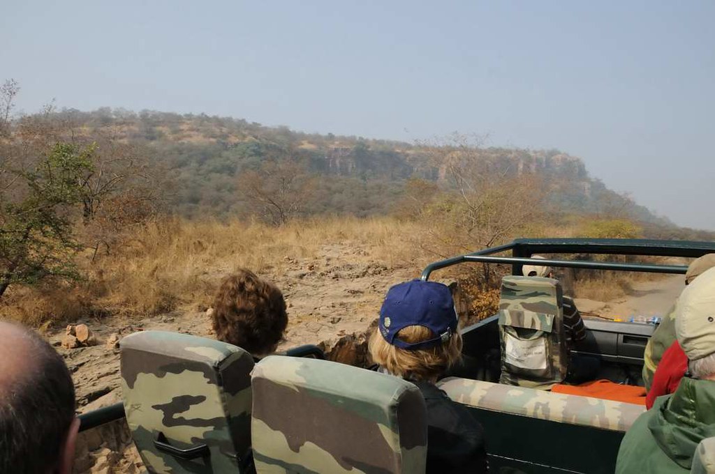 Open jeep safari through the dry scrub landscape, Ranthambore National Park