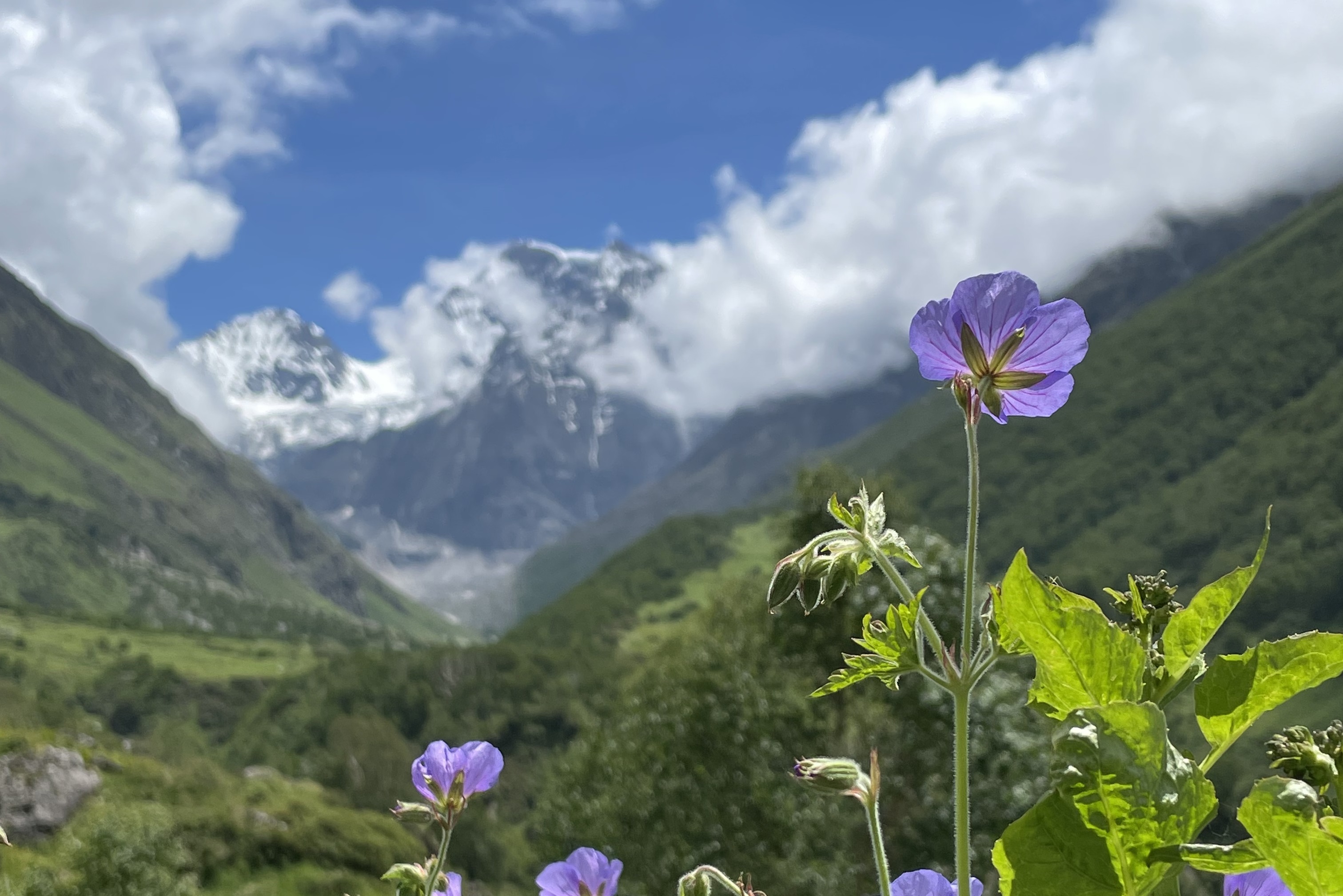 Valley of Flowers Trek